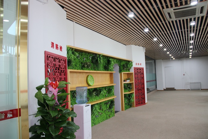 上海鼎誠(chéng)房產(chǎn)辦公室設(shè)計(jì)實(shí)景-第5張圖片-上海古都建筑設(shè)計(jì)集團(tuán) 上海鼎誠(chéng)房產(chǎn)辦公室設(shè)計(jì)實(shí)景-第5張圖片-上海古都建筑設(shè)計(jì)集團(tuán)