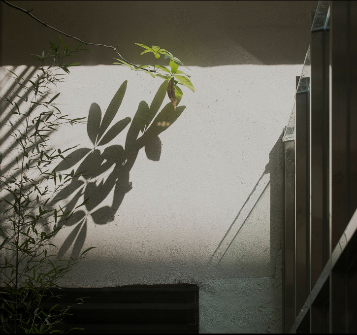 山景風格辦公室裝修效果圖-第10張圖片-上海古都建筑設(shè)計集團