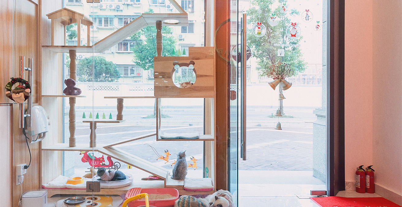 青浦區(qū)小清新寵物店裝修設(shè)計-第1張圖片-上海古都建筑設(shè)計集團 青浦區(qū)小清新寵物店裝修設(shè)計-第1張圖片-上海古都建筑設(shè)計集團