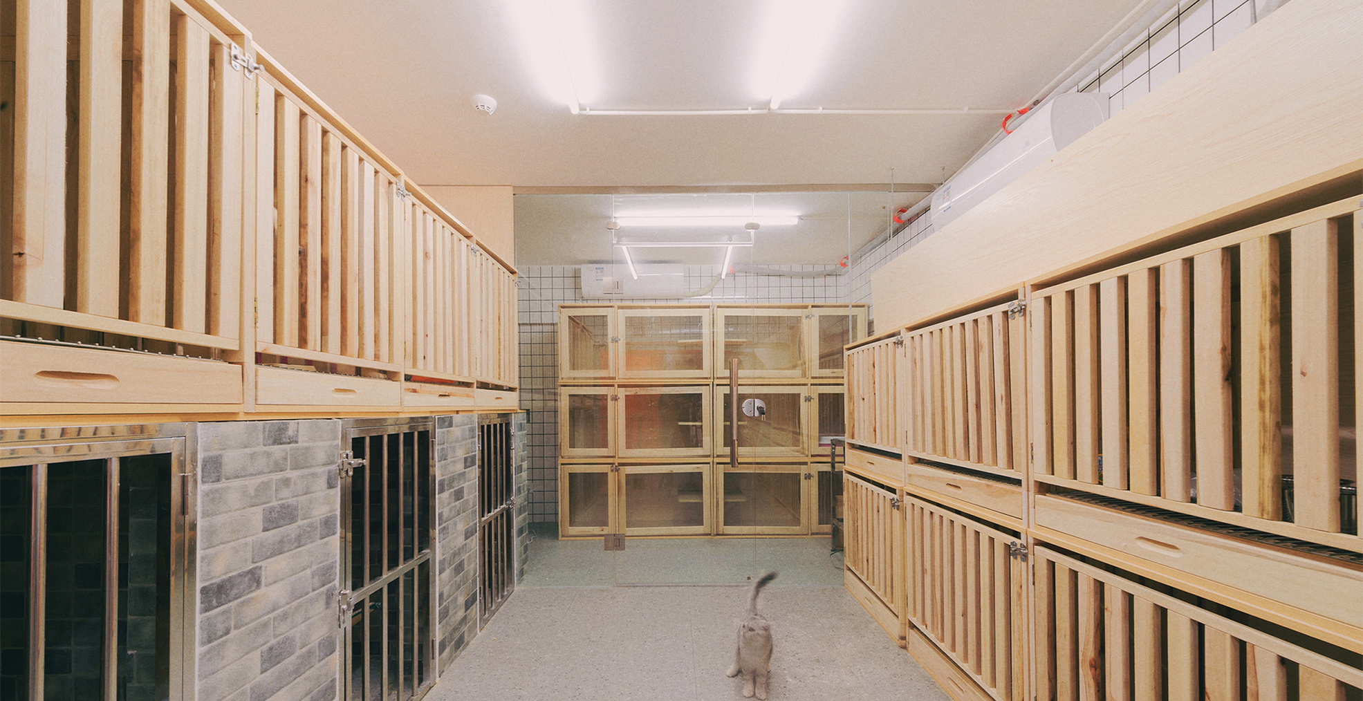 青浦區(qū)小清新寵物店裝修設(shè)計-第2張圖片-上海古都建筑設(shè)計集團 青浦區(qū)小清新寵物店裝修設(shè)計-第2張圖片-上海古都建筑設(shè)計集團