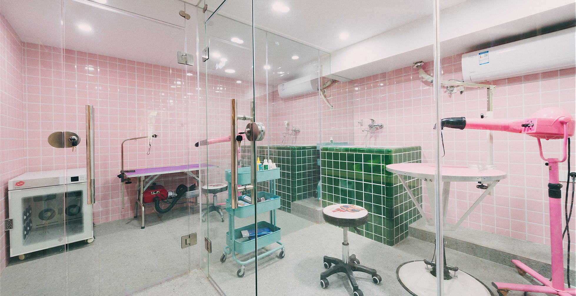 青浦區(qū)小清新寵物店裝修設(shè)計-第4張圖片-上海古都建筑設(shè)計集團 青浦區(qū)小清新寵物店裝修設(shè)計-第4張圖片-上海古都建筑設(shè)計集團