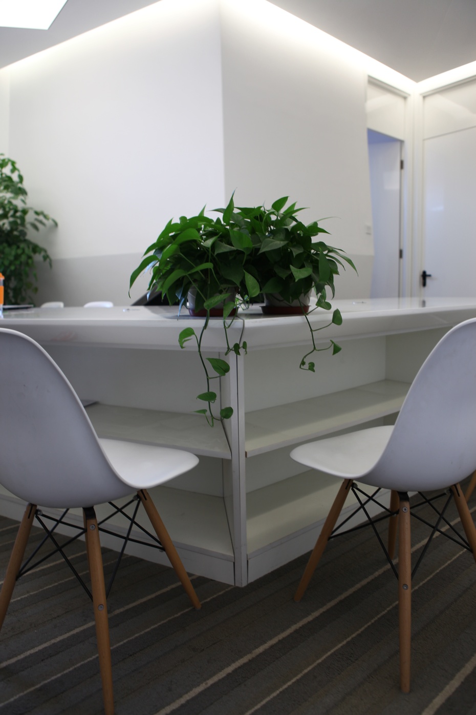 小型清新風(fēng)格辦公室裝修設(shè)計-第4張圖片-上海古都建筑設(shè)計集團 小型清新風(fēng)格辦公室裝修設(shè)計-第4張圖片-上海古都建筑設(shè)計集團