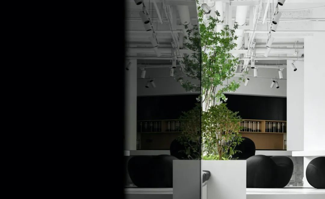 現(xiàn)代清新風(fēng)格辦公室裝修設(shè)計(jì)-第3張圖片-上海古都建筑設(shè)計(jì)集團(tuán) 現(xiàn)代清新風(fēng)格辦公室裝修設(shè)計(jì)-第3張圖片-上海古都建筑設(shè)計(jì)集團(tuán)